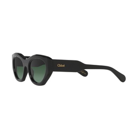 Cat Eye Sunglasses 6N000523