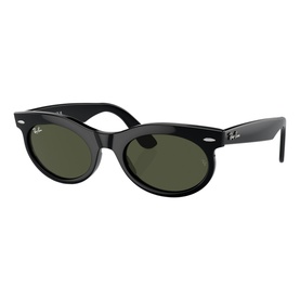 Oval Sunglasses RB2242 Wayfarer Oval