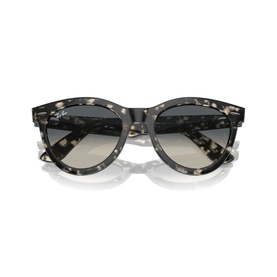 Round Sunglasses RB2241 Wayfarer Way