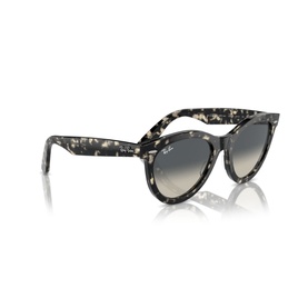 Round Sunglasses RB2241 Wayfarer Way