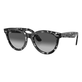 Round Sunglasses RB2241 Wayfarer Way
