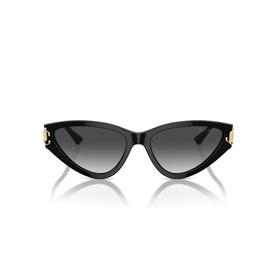 Cat Eye Sunglasses JC5019