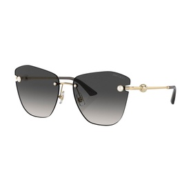 Butterfly Sunglasses JC4004HB