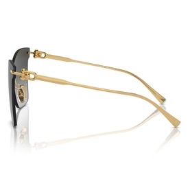 Butterfly Sunglasses TF3103K