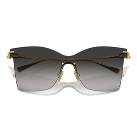 Butterfly Sunglasses TF3103K