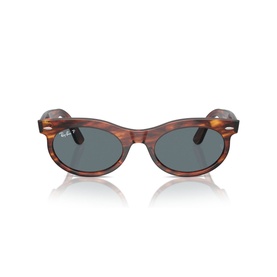 Oval Sunglasses RB2242 Wayfarer Oval