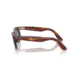 Oval Sunglasses RB2242 Wayfarer Oval