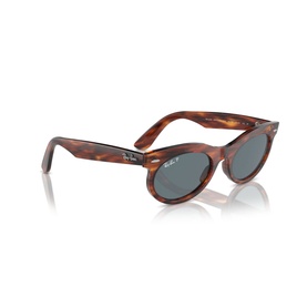 Oval Sunglasses RB2242 Wayfarer Oval