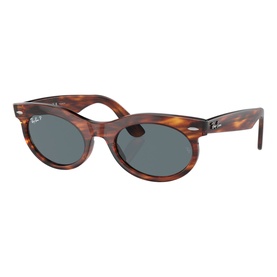 Oval Sunglasses RB2242 Wayfarer Oval