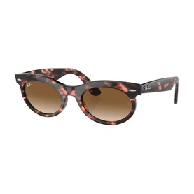 Oval Sunglasses RB2242 Wayfarer Oval
