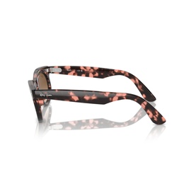 Oval Sunglasses RB2242 Wayfarer Oval
