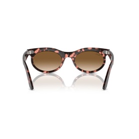 Oval Sunglasses RB2242 Wayfarer Oval