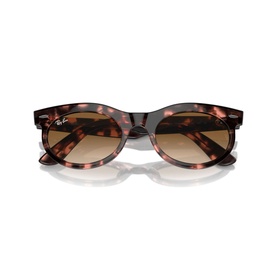 Oval Sunglasses RB2242 Wayfarer Oval