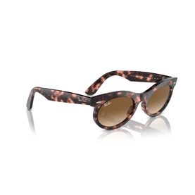 Oval Sunglasses RB2242 Wayfarer Oval