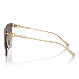 Butterfly Sunglasses TF3103K
