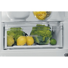 Freestanding 60cm Fridge Freezer with Stop Frost