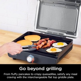 Sizzle Low Smoke Indoor Grill & Flat Plate