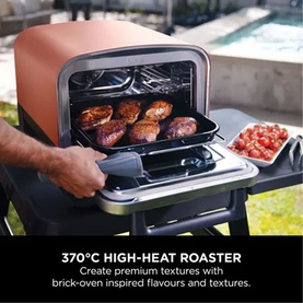 Woodfire Electric Outdoor Oven