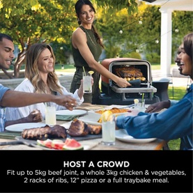 Woodfire Electric Outdoor Oven