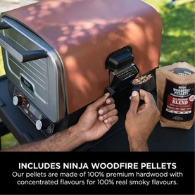 Woodfire Electric Outdoor Oven