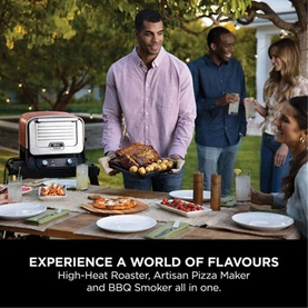 Woodfire Electric Outdoor Oven