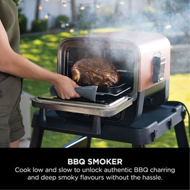 Woodfire Electric Outdoor Oven