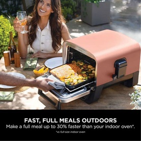 Woodfire Electric Outdoor Oven