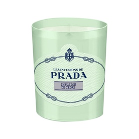 Infusion de Cedre Candle