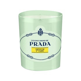 Infusion D'Ylang Candle