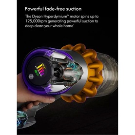 V15 Detect Absolute Cordless Stick Vacuum Cleaner