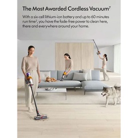 V15 Detect Absolute Cordless Stick Vacuum Cleaner