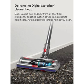 V15 Detect Absolute Cordless Stick Vacuum Cleaner