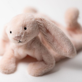 Bashful Blush Bunny Comforter