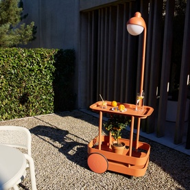 Jolly Trolley Tangerine