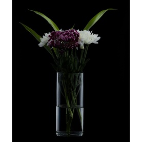 Ravenhead Cylinder Glass Vase in clear glass, styled with purple and white chrysanthemums against a dark background