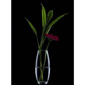 Ravenhead Bullet Glass Vase in clear glass with curved silhouette and heavy base, styled with green foliage and a pink gerbera flower