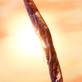 Joyphoria Eau de Parfum