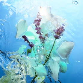 Calm Bliss Eau de Parfum