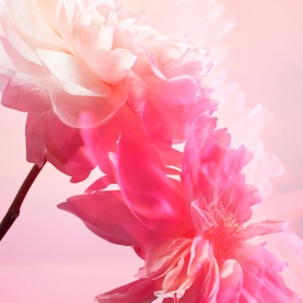 Love Frequency Eau de Parfum