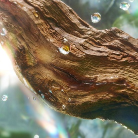 Magic Energy Eau de Parfum