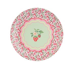 Set of 4 Strawberry Melamine Dinner Plates