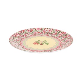 Set of 4 Strawberry Melamine Dinner Plates