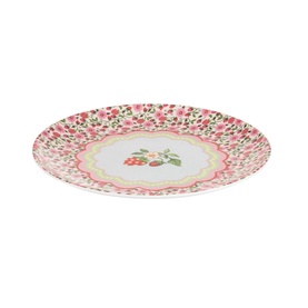 Set of 4 Strawberry Melamine Dinner Plates