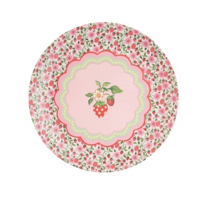 Set of 4 Strawberry Melamine Dinner Plates