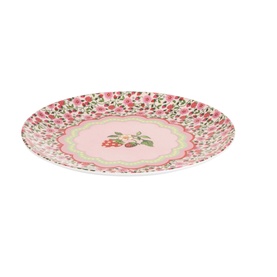 Set of 4 Strawberry Melamine Dinner Plates