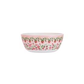 Set of 4 Strawberry Melamine Cereal Bowls