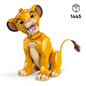 Young Simba the Lion King
