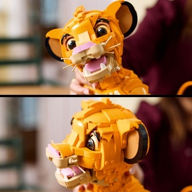 Young Simba the Lion King