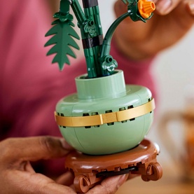 Botanical Collection Chrysanthemum