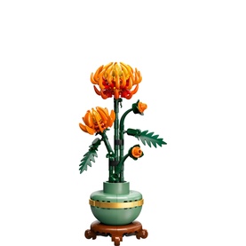 Botanical Collection Chrysanthemum